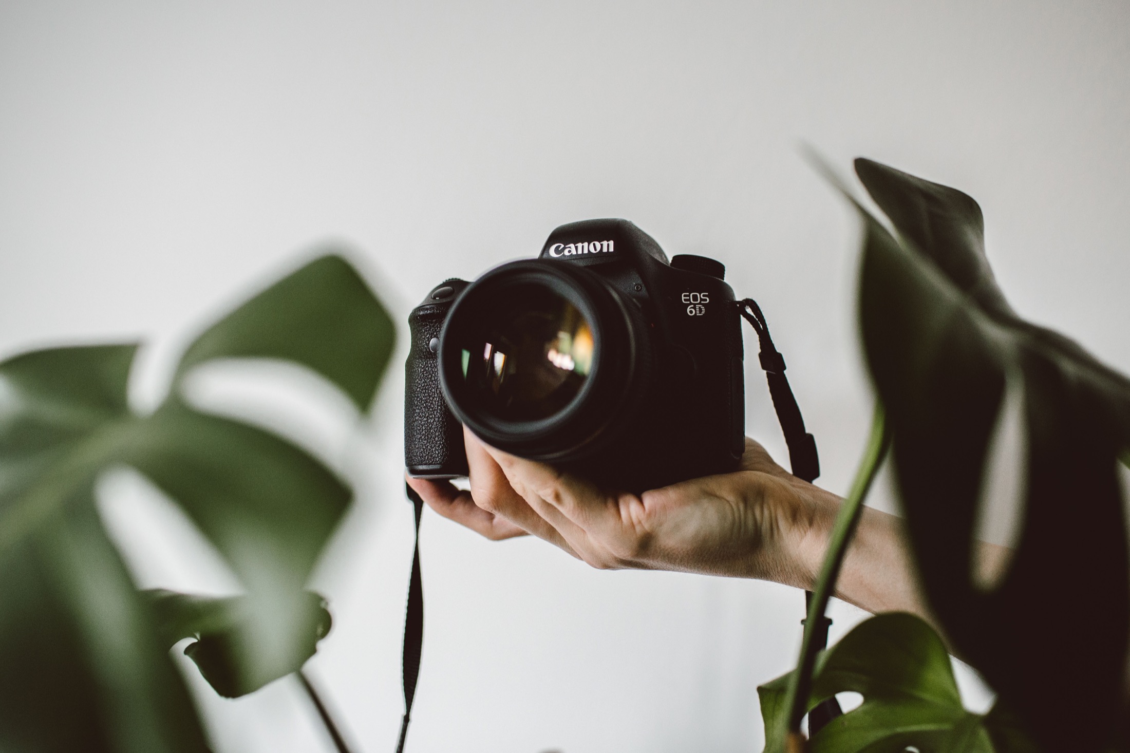A camera held in the photographer’s hands